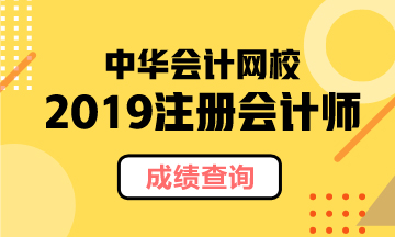 河北2019年注冊會計師官網(wǎng)成績查詢?nèi)肟陂_通了！