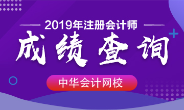 安徽2019年cpa什么時候出成績