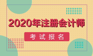 2020年注冊會(huì)計(jì)師考試報(bào)名