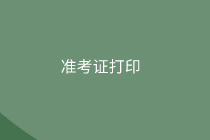 2020初級(jí)審計(jì)師準(zhǔn)考證打印信息