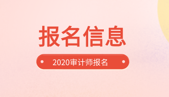 2020審計師報名信息