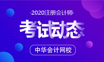 2020年注冊會計師審計變化