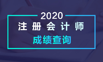 成都2020注會(huì)考試成績查詢時(shí)間