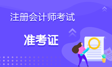 山東2020年cpa打印準(zhǔn)考證的時間