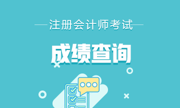 2020年山東青島注冊(cè)會(huì)計(jì)師考試成績(jī)查詢時(shí)間