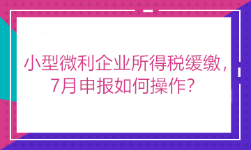 小型微利企業(yè)所得稅緩繳，7月申報如何操作？看這里！