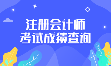 山西cpa考試什么時候出成績？