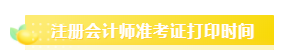 2020注冊會計師準考證打印時間