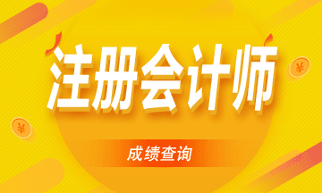 河南2020注冊會計師成績查詢相關(guān)信息了解一下