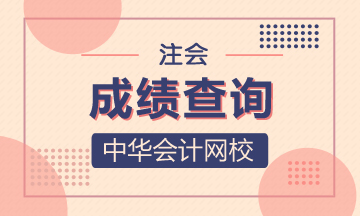 陜西2020注冊(cè)會(huì)計(jì)師成績(jī)查詢相關(guān)信息 你了解嗎？