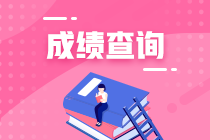 審計師成績查詢