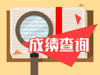 2020年廣東注冊(cè)會(huì)計(jì)師考試成績(jī)查詢