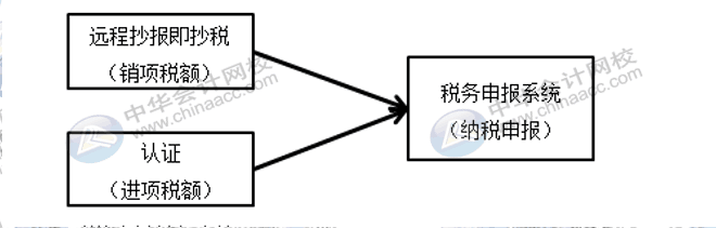 每月征期該怎么抄報(bào)呢？步驟來(lái)了~