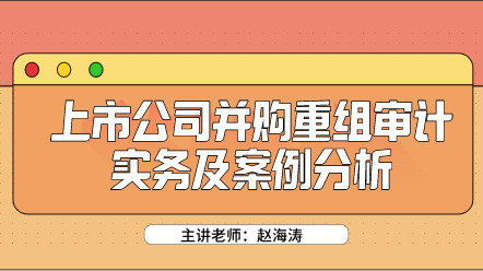 上市公司并購重組審計實(shí)務(wù)及案例分析