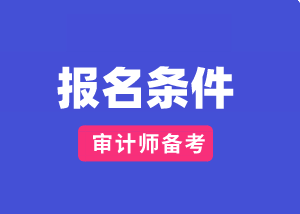 山東2020國(guó)際審計(jì)師報(bào)考條件及時(shí)間？