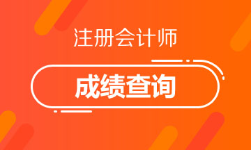 青海2020年注冊會計師考試成績查詢