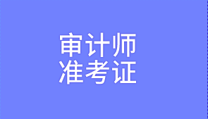 2020審計師準考證打印