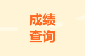 2020年西藏山南市中級(jí)成績(jī)查詢?nèi)肟陂_(kāi)通了嗎？