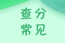 2020中級(jí)會(huì)計(jì)查分在即！你做好這些準(zhǔn)備了嘛？