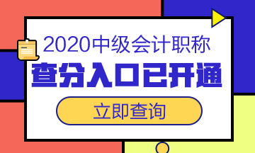 全國(guó)2020年中級(jí)會(huì)計(jì)職稱成績(jī)查詢?nèi)肟谝验_(kāi)通！