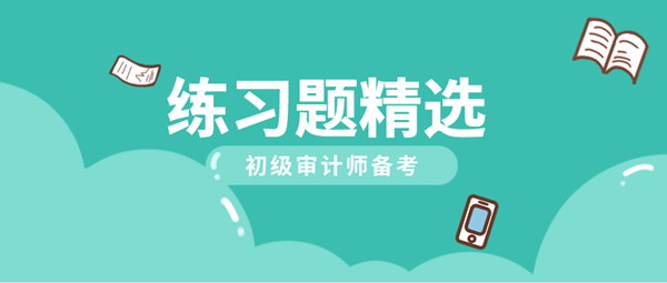 2021初級(jí)審計(jì)師《審計(jì)理論與實(shí)務(wù)》練習(xí)題精選