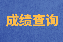 上海2020年資產(chǎn)評估師考試成績查詢流程確定了嗎？