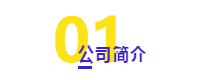 ACCA會員直聘丨斯凱奇高級財務主管