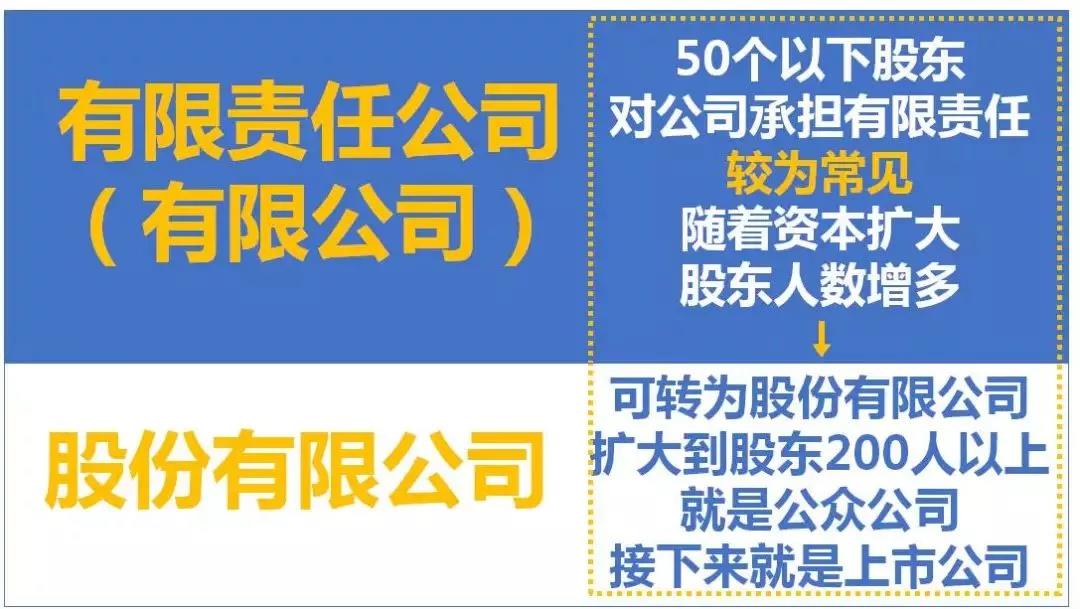 最全總結(jié)！公司、個體戶、分公司、子公司、有限公司有啥區(qū)別？