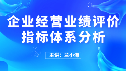 企業(yè)經營業(yè)績評價指標體系分析 (1)