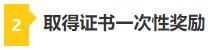 考下CPA 帶你薅四大會計師事務所“羊毛”！