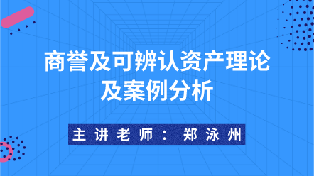 商譽(yù)及可辨認(rèn)資產(chǎn)理論及案例分析