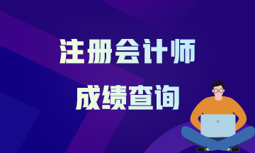 蕪湖2020注會(huì)成績查詢時(shí)間