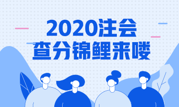 2020年注會成績查詢錦鯉報道！總有一款適合你~