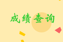 四川眉山中級成績查詢2020入口在哪里？