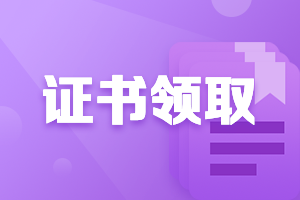 海南三亞市2020中級會計證書領取時間是？