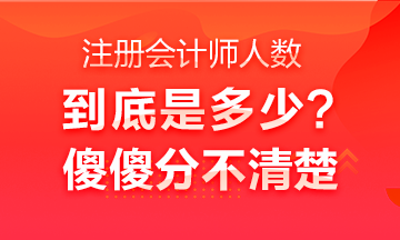 中國(guó)注冊(cè)會(huì)計(jì)師行業(yè)全國(guó)從業(yè)人員超40萬(wàn)人？不是二十多萬(wàn)嗎？