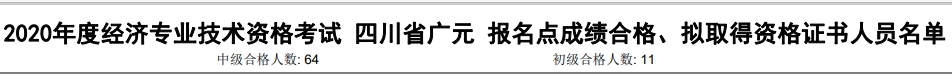 廣元2020年初中級經(jīng)濟師考試合格人數(shù)