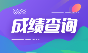 杭州1月份期貨從業(yè)資格考試成績什么時候可以查？