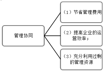 2021高會《高級會計實務》考試知識點：發(fā)揮協(xié)同效應