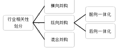 2021高會《高級會計實務(wù)》考試知識點：企業(yè)并購類型（二）