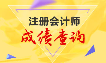 山東濟(jì)南2020年注冊(cè)會(huì)計(jì)師考試成績一般什么時(shí)候出？