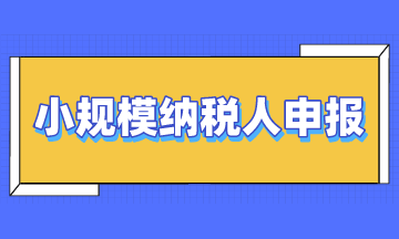 小規(guī)模納稅人申報(bào)時(shí)注意4大要點(diǎn)