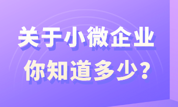 關(guān)于小微企業(yè)，你知道多少？