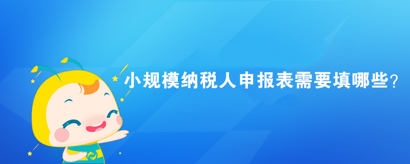 小規(guī)模納稅人申報(bào)表需要填哪些？