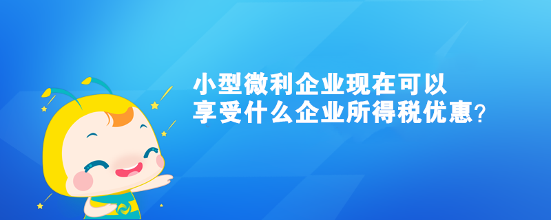 小型微利企業(yè)現(xiàn)在可以享受什么企業(yè)所得稅優(yōu)惠？