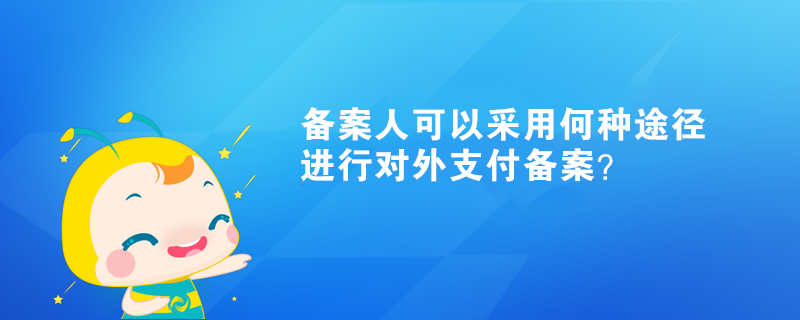 備案人可以采用何種途徑進(jìn)行對(duì)外支付備案？