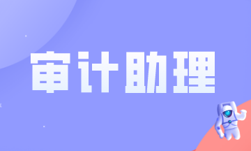 審計(jì)助理做什么？需要滿足什么條件？