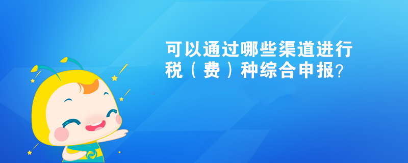 可以通過哪些渠道進行稅（費）種綜合申報？