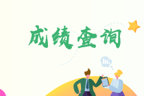 什么時(shí)候可以查詢2021年中級(jí)會(huì)計(jì)考試成績呢？