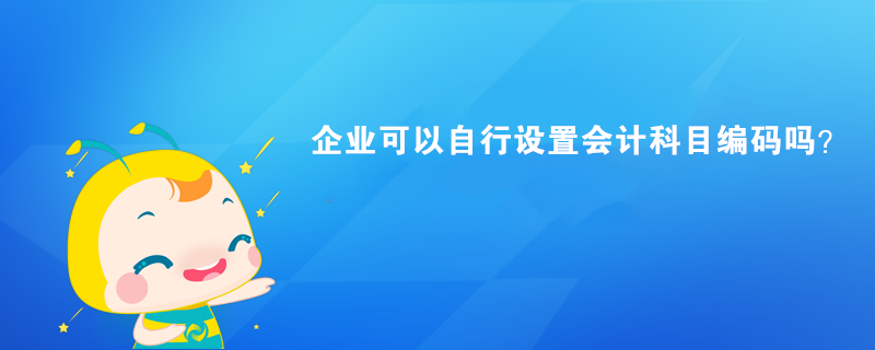 企業(yè)可以自行設(shè)置會(huì)計(jì)科目編碼嗎？